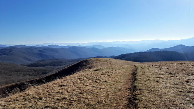 Default image for Max Patch Hike, a 7.0-mile trail in Joe, NC (US)