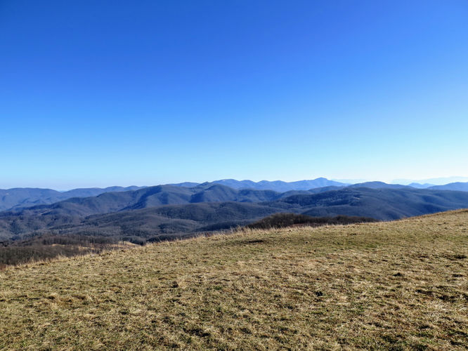 Picture 24 of Max Patch Hike 021917