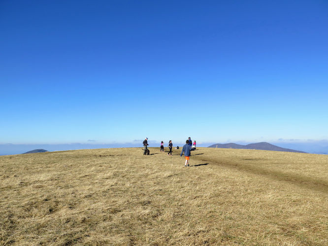 Picture 29 of Max Patch Hike 021917