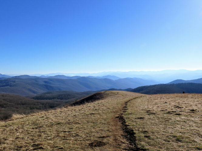 Picture 30 of Max Patch Hike 021917