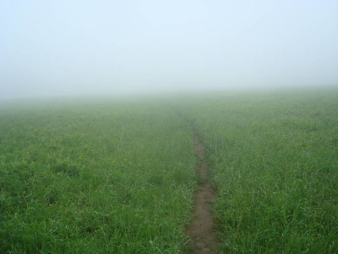 Picture 23 of Mayland Challenge Hike 051411