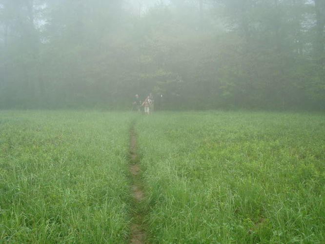 Picture 24 of Mayland Challenge Hike 051411