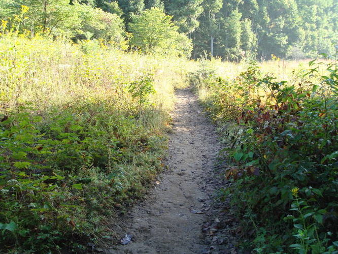 Picture 7 of McAfee Knob Hike 091408