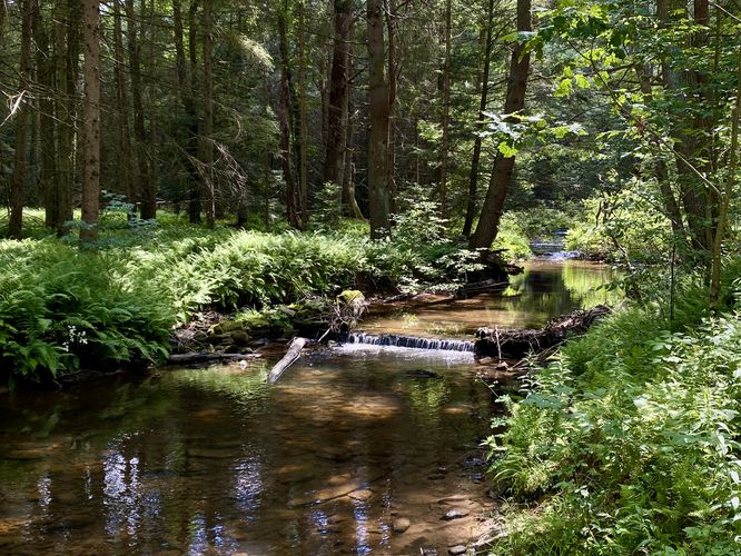 Scenic cascade in White Deer Creek