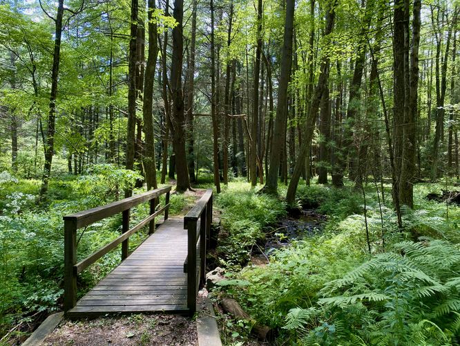 Default image for McCalls Dam Trail, a 0.4-mile trail in Mifflinburg, PA (US)