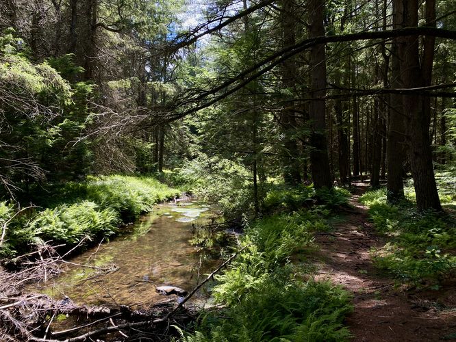 Quiet and scenic White Deer Creek