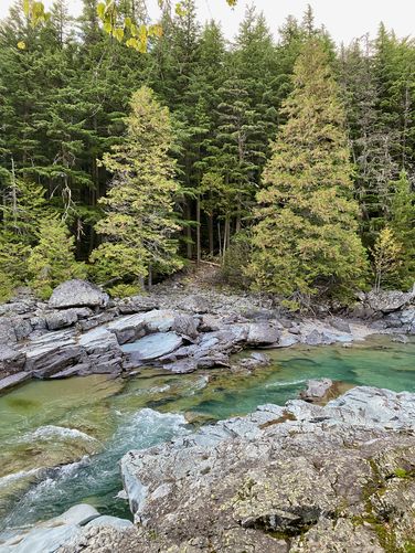 Evergreens surround McDonald Creek's turquoise water