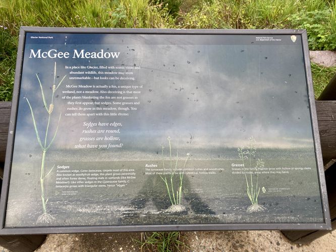 McGee Meadow is not a meadow but rather a fen