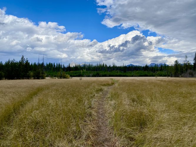Hiking out along the McGee Meadow Trail