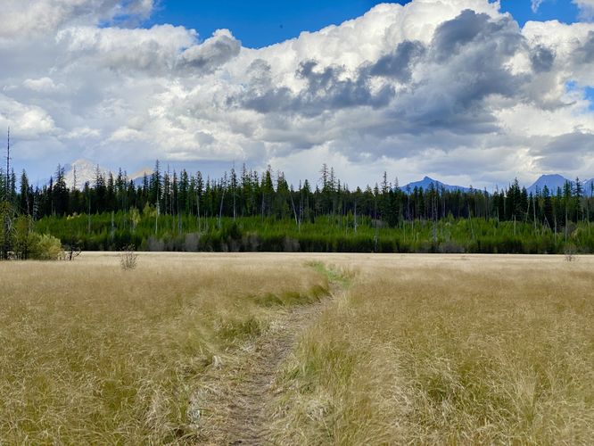 Default image for McGee Meadow Trail, a 0.1-mile trail in West Glacier, MT (US)