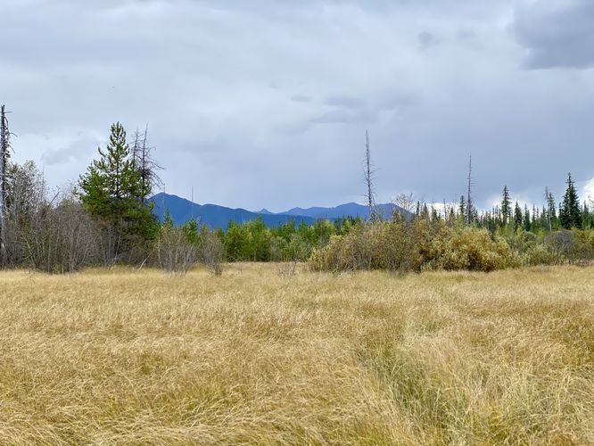 View of distant mountains at McGee Meadow