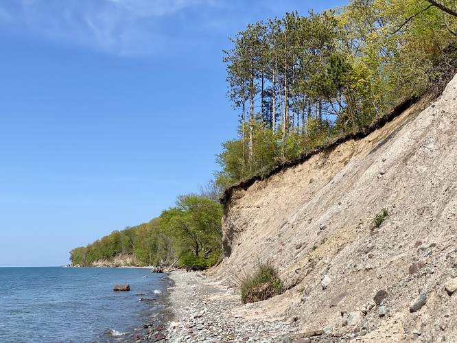 View from below McIntyre's Bluff