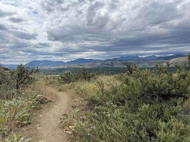 Shrubland of the Meadowlark Trail