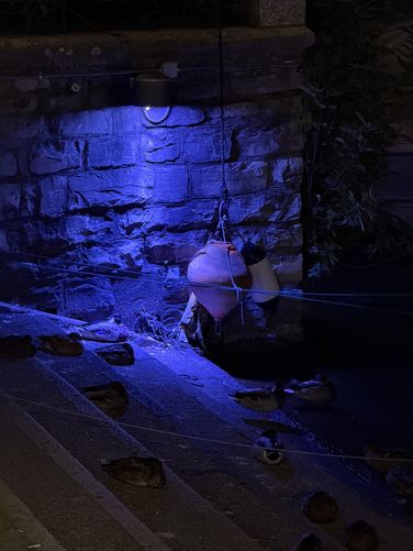 Ducks sleeping on stairs alongside Lake Como