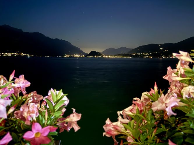 Flower boxes in the foreground, Lake Como and Bellagio in the background at night