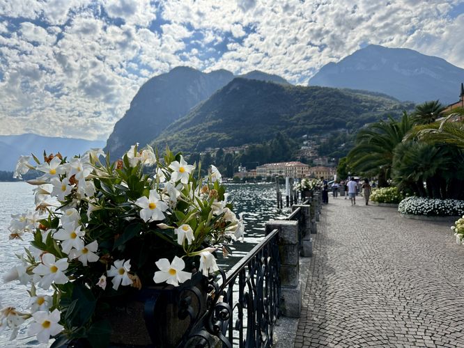 Picture 13 of Menaggio Promenade