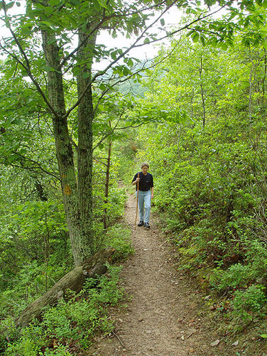 Picture 3 of Meneka Peak Hike 051504