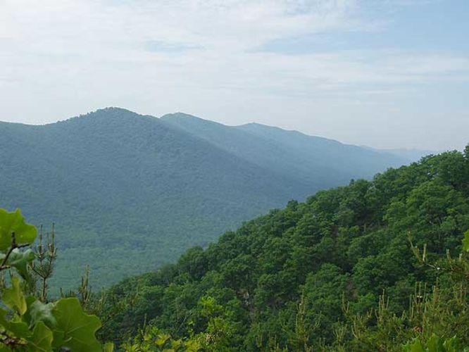 Default image for Meneka Peak Hike, a 8.2-mile trail in Fort Valley, VA (US)