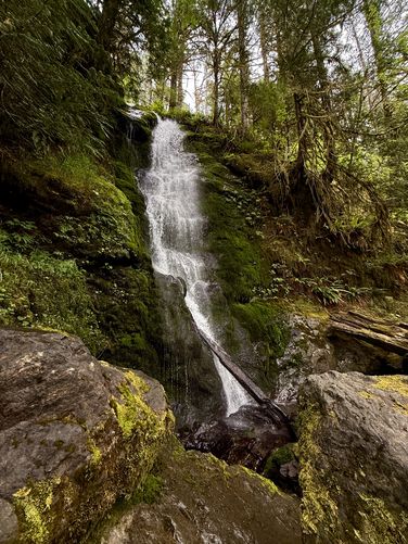 Portrait of Merriman Falls from its base