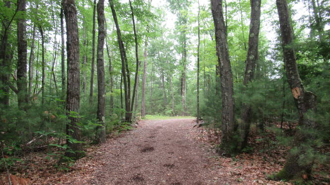 Picture 8 of Michaelas Way and Loop Trail