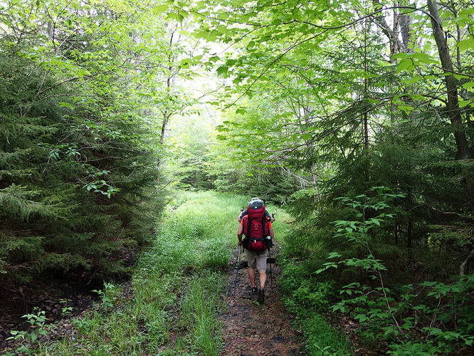 Picture 4 of Middle Fork and Big Beechy Hike 060615