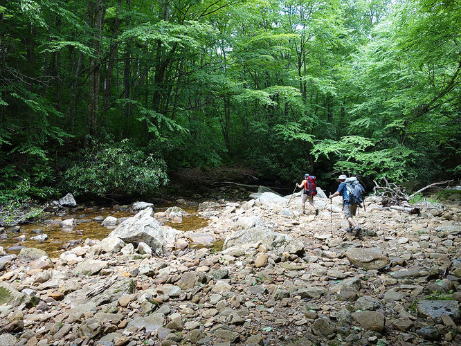 Picture 10 of Middle Fork and Big Beechy Hike 060615