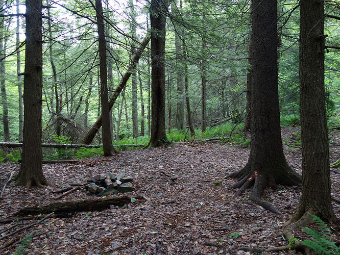 Picture 17 of Middle Fork and Big Beechy Hike 060615