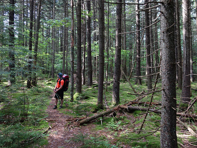 Picture 18 of Middle Fork and Big Beechy Hike 060615