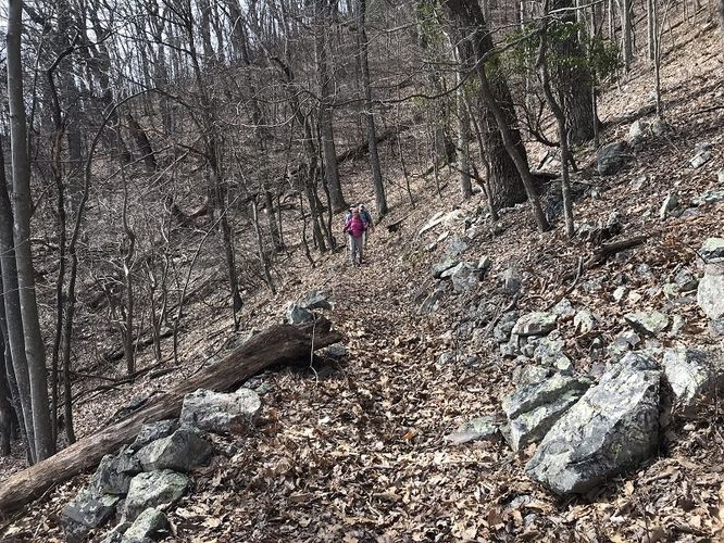 Picture 2 of Middle Mountain Hike 022619