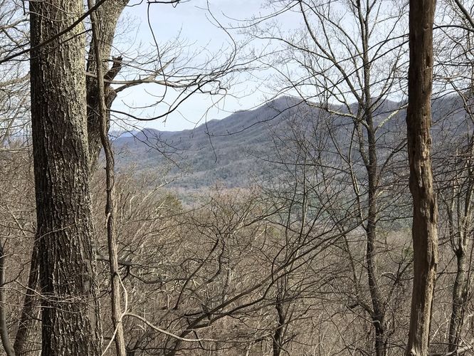 Default image for Middle Mountain Hike, a 7.8-mile trail in Millboro, VA (US)