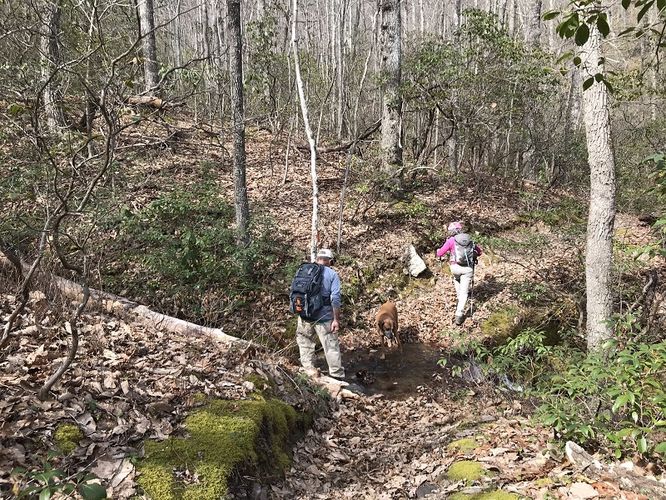 Picture 4 of Middle Mountain Hike 022619