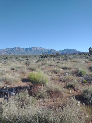 Topography of land surrounding the trail