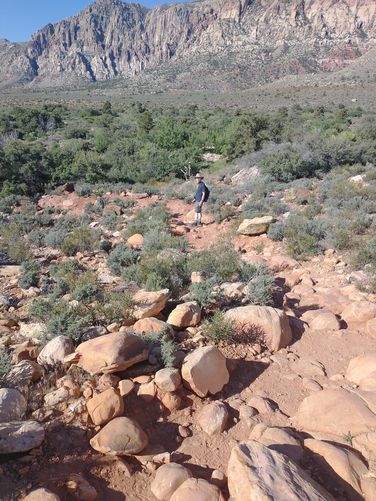 Rocky substrate