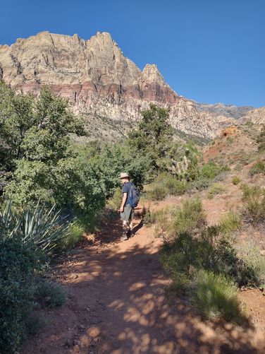 Even a small amount of water can change the vegetation on the trail