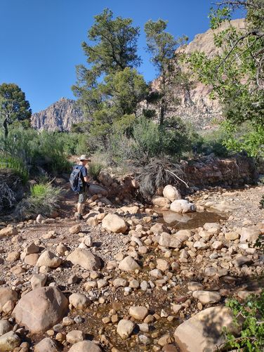 First crossing of the creek along the trail