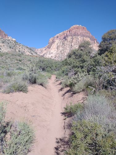 The trail becomes a single footpath