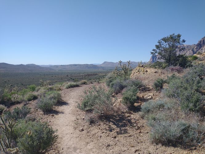 Hard to tell that there is elevation from this picture 