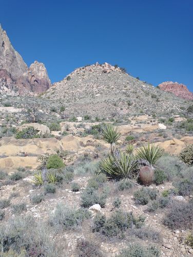View of Wilson's Pimple from the trail