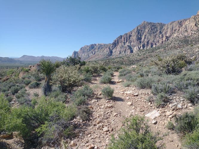 The trail makes a gentle ascent as you get closer to the canyon
