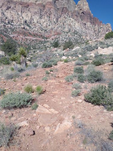 Rocky trail