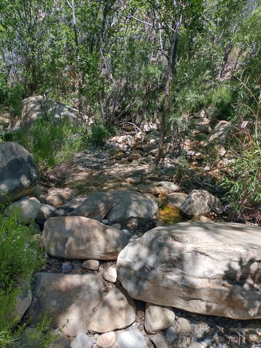Section of Oak Creek along the trail