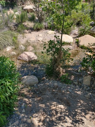 There was still water running in the creek during our visit