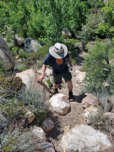 Climbing up out of the Creekbed back to the trail 