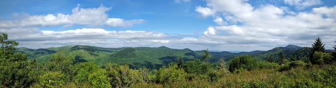 Picture 2 of Middle Prong Wilderness Hike 061916