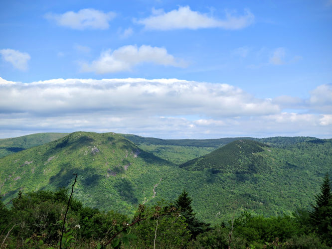 Picture 27 of Middle Prong Wilderness Hike 061916
