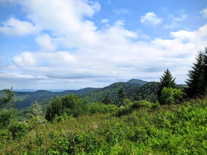 Picture 31 of Middle Prong Wilderness Hike 061916