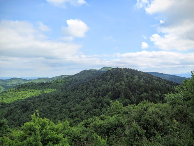 Picture 33 of Middle Prong Wilderness Hike 061916