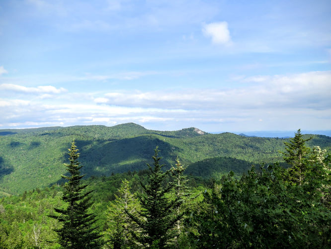 Picture 35 of Middle Prong Wilderness Hike 061916