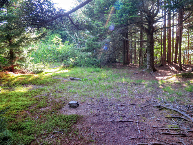 Picture 38 of Middle Prong Wilderness Hike 061916