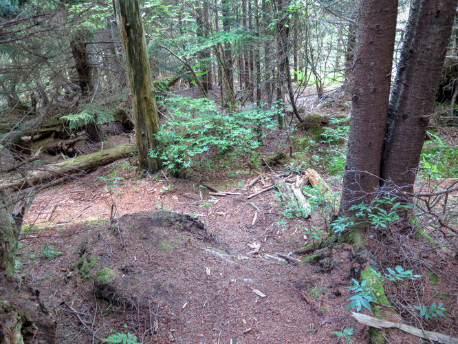 Picture 39 of Middle Prong Wilderness Hike 061916
